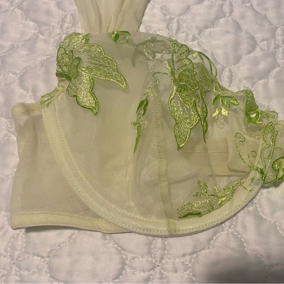 Victoria's Secret Sheer Green Floral Bra, 38C, with matching pantie, size large. - Picture 4 of 15